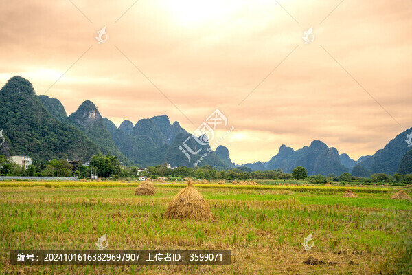 十里畫廊景區(qū)稻田風(fēng)光