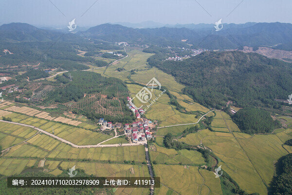 稻田風(fēng)光