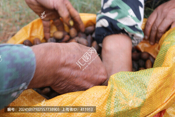 高品質(zhì)山核桃