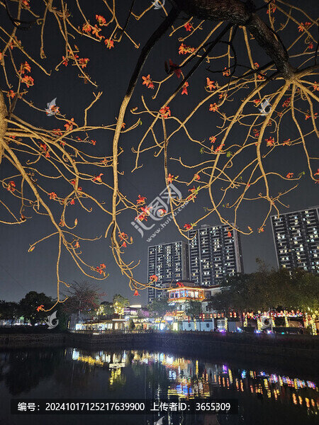 晚上