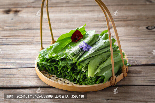 油麥菜