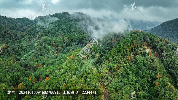 山里人家