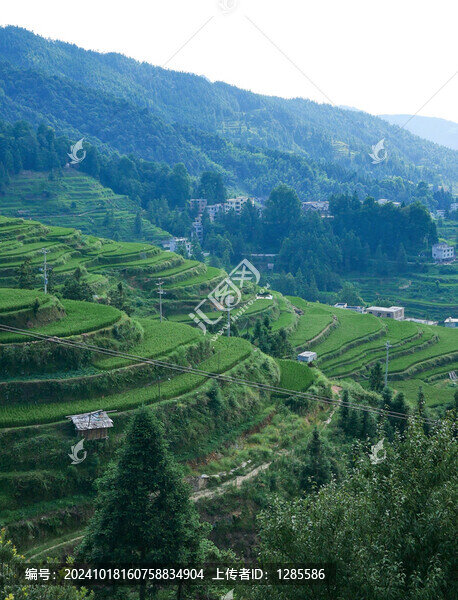 貴州堂安梯田