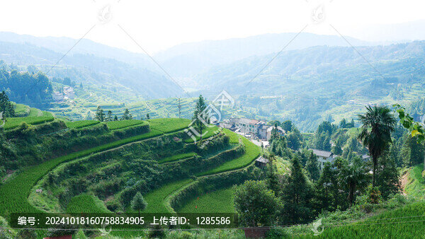 貴州堂安梯田