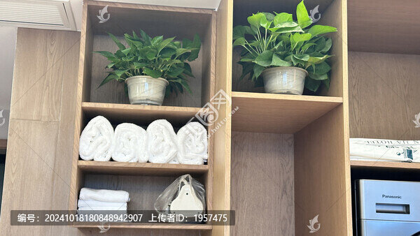 植物裝飾