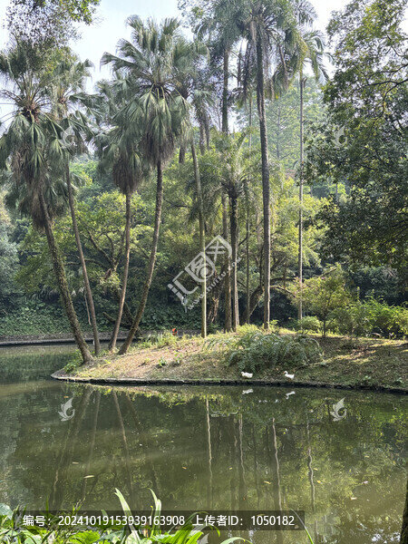 廣州越秀公園