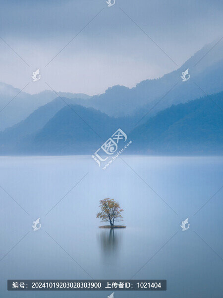 廬山西海孤獨的樹
