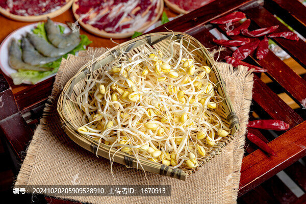 火鍋菜品黃豆芽