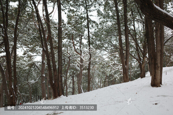 冬雪頤和園