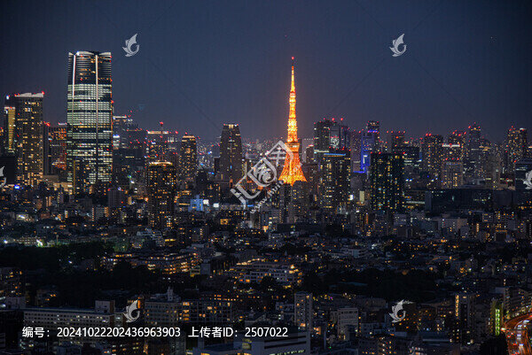 日本東京鐵塔夜景