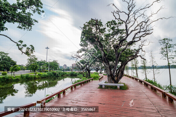 增城荔湖公園