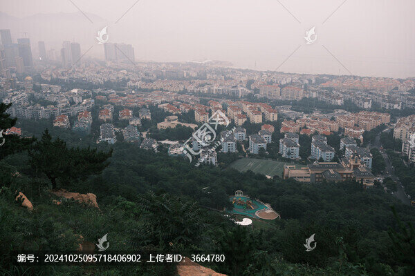 青島高樓林立的城市景觀