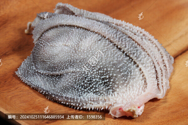 生鮮牛肚