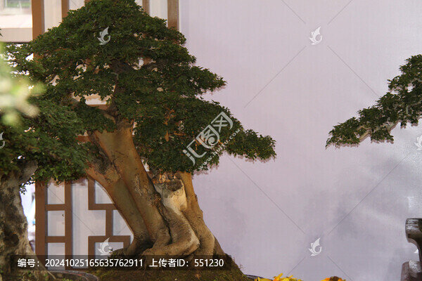 城市風(fēng)景