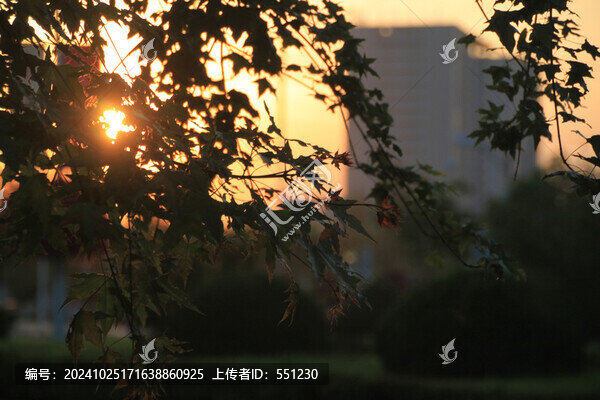 城市風(fēng)景