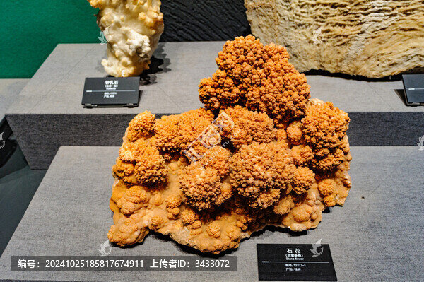 成都自然博物館