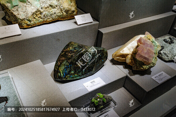 成都自然博物館