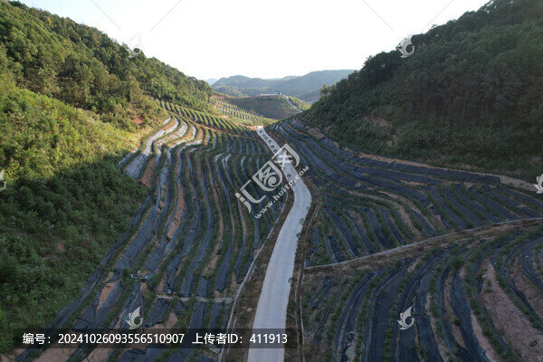 綠色山林秋景