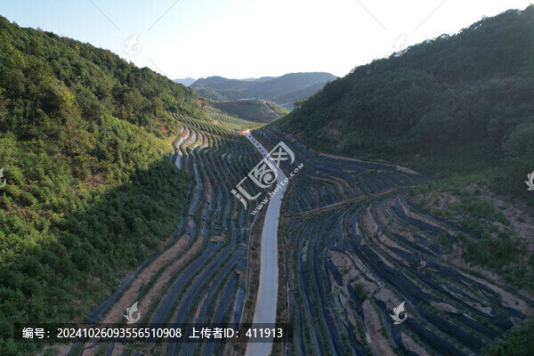綠色山林秋景