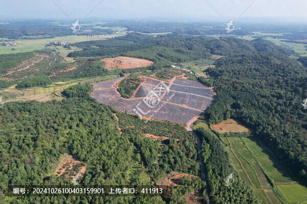 心形藍(lán)莓基地