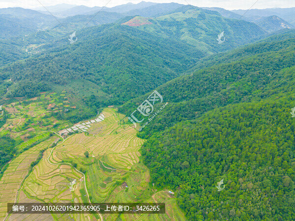 航拍農(nóng)田田園風(fēng)光