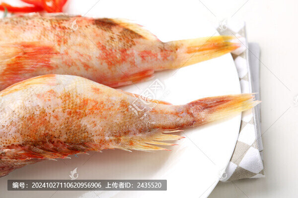新西蘭紅鱸魚