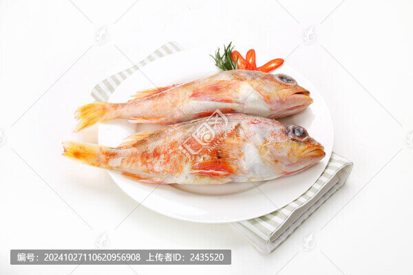 新西蘭紅鱸魚