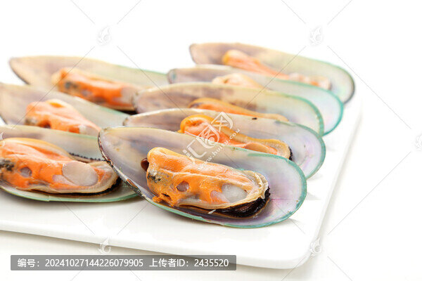 青口貝