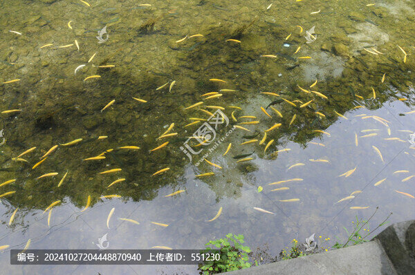 城市風景