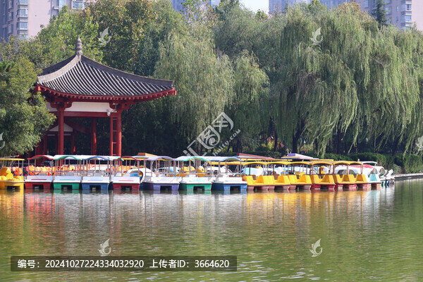 公園游船