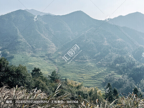 江西婺源篁嶺