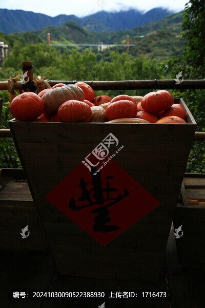 南瓜