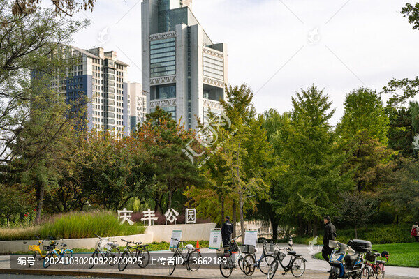 北京慶豐公園清晨的秋色