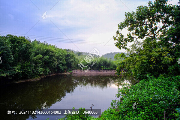 大悟龍?zhí)讹L(fēng)景