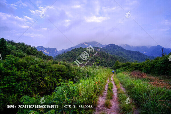 大悟龍?zhí)讹L景