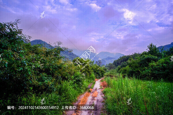 大悟龍?zhí)讹L(fēng)景