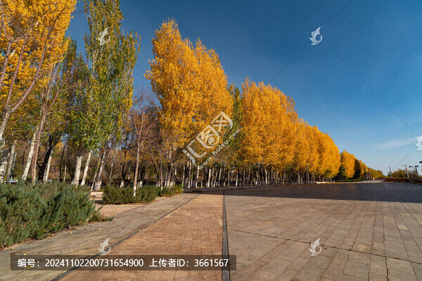 克拉瑪依公園廣場