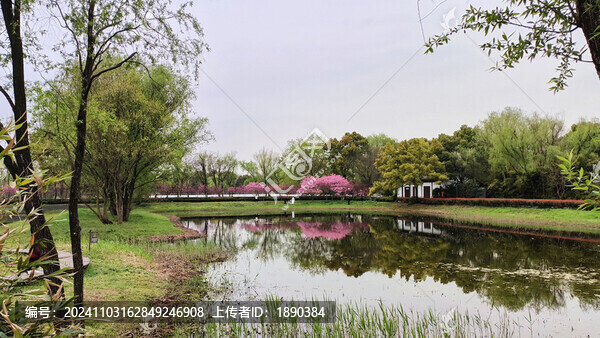 湖邊