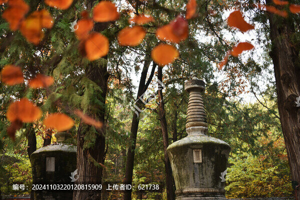 北京潭柘寺古代塔林