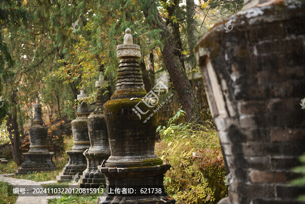 北京潭柘寺古代塔林