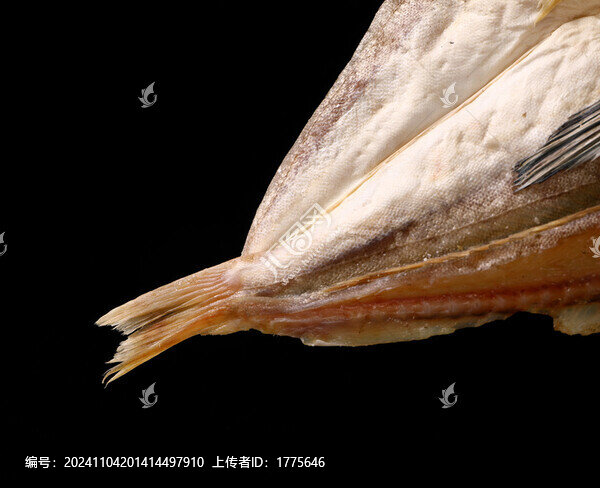 紅頭魚(yú)干