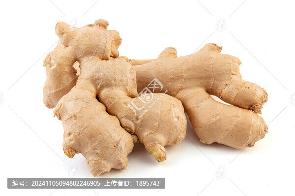 生姜食材白底圖