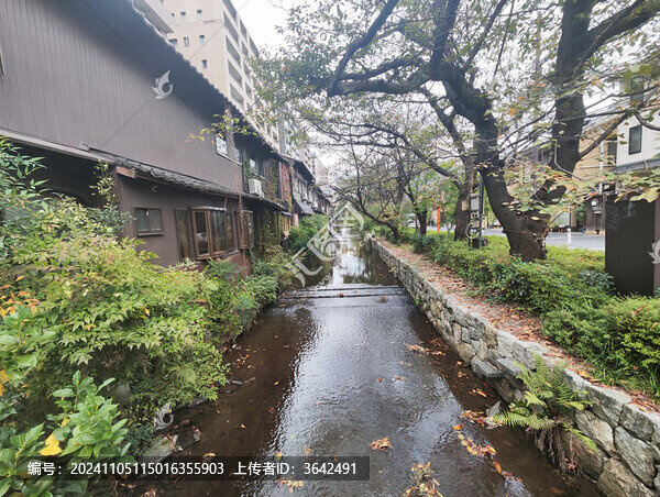 京都街景