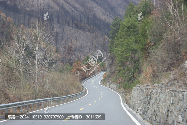 被火燒的山林