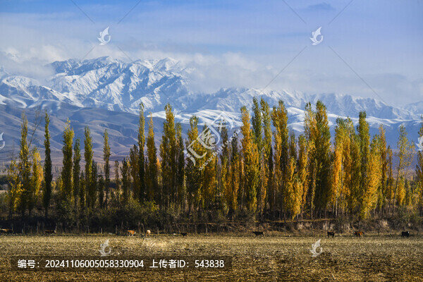 福壽山景區(qū)