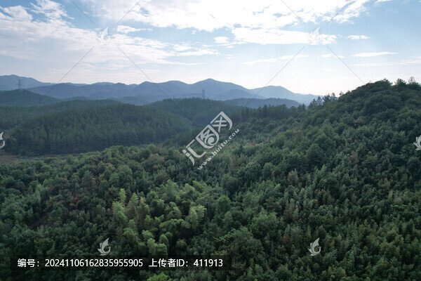 森林