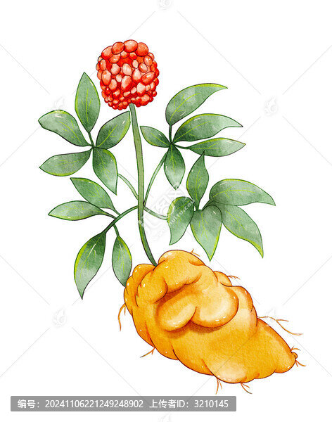 三七插畫元素