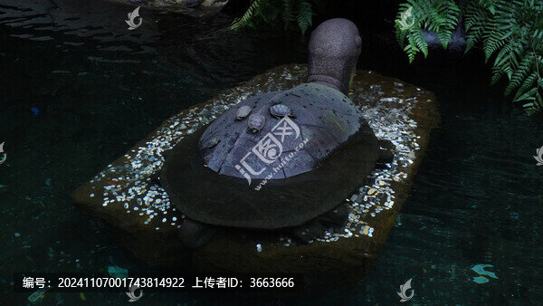 金錢龜