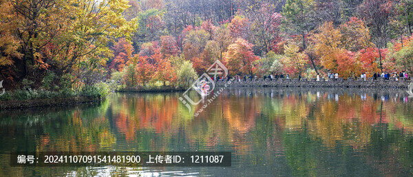 本溪大石湖紅葉
