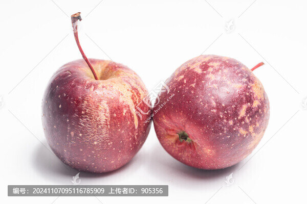 龍豐果